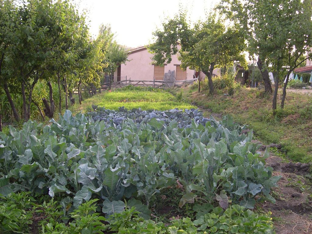 La Huerta De San Lorenzo 호텔 세고비아 외부 사진